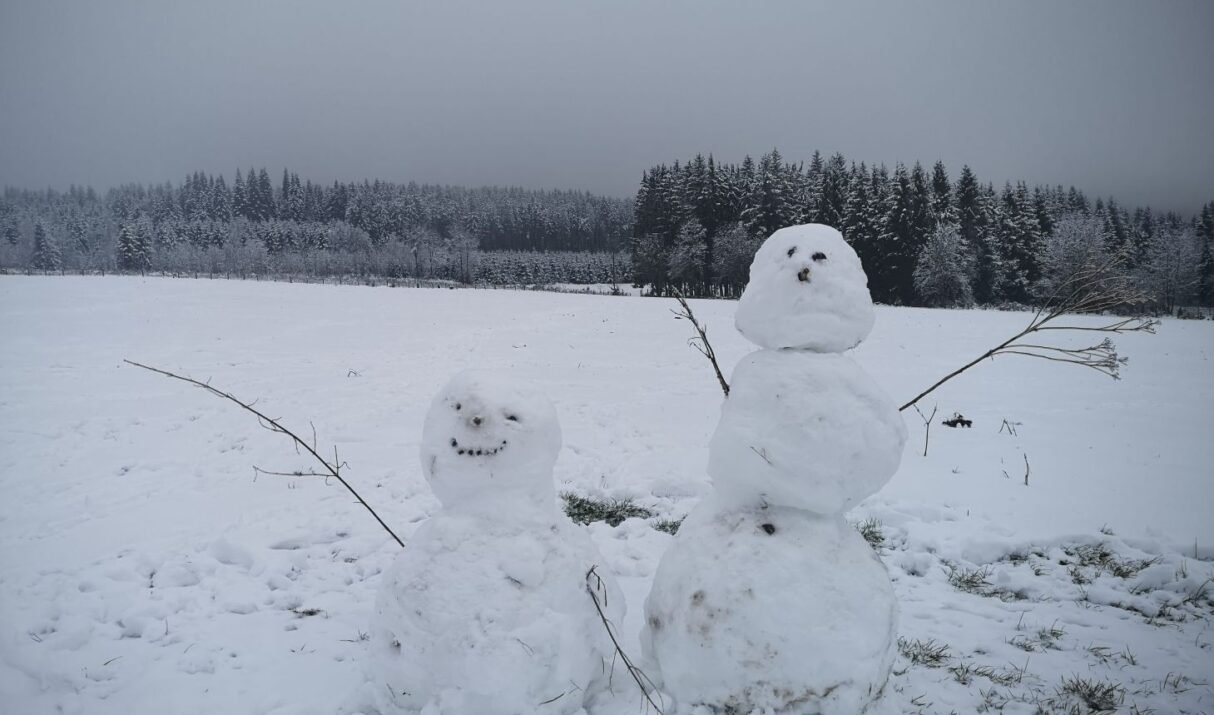 Dagtocht: Sneeuwwandeling Baraque de Fraiture en Fagne Sacrawé (16,1 km)