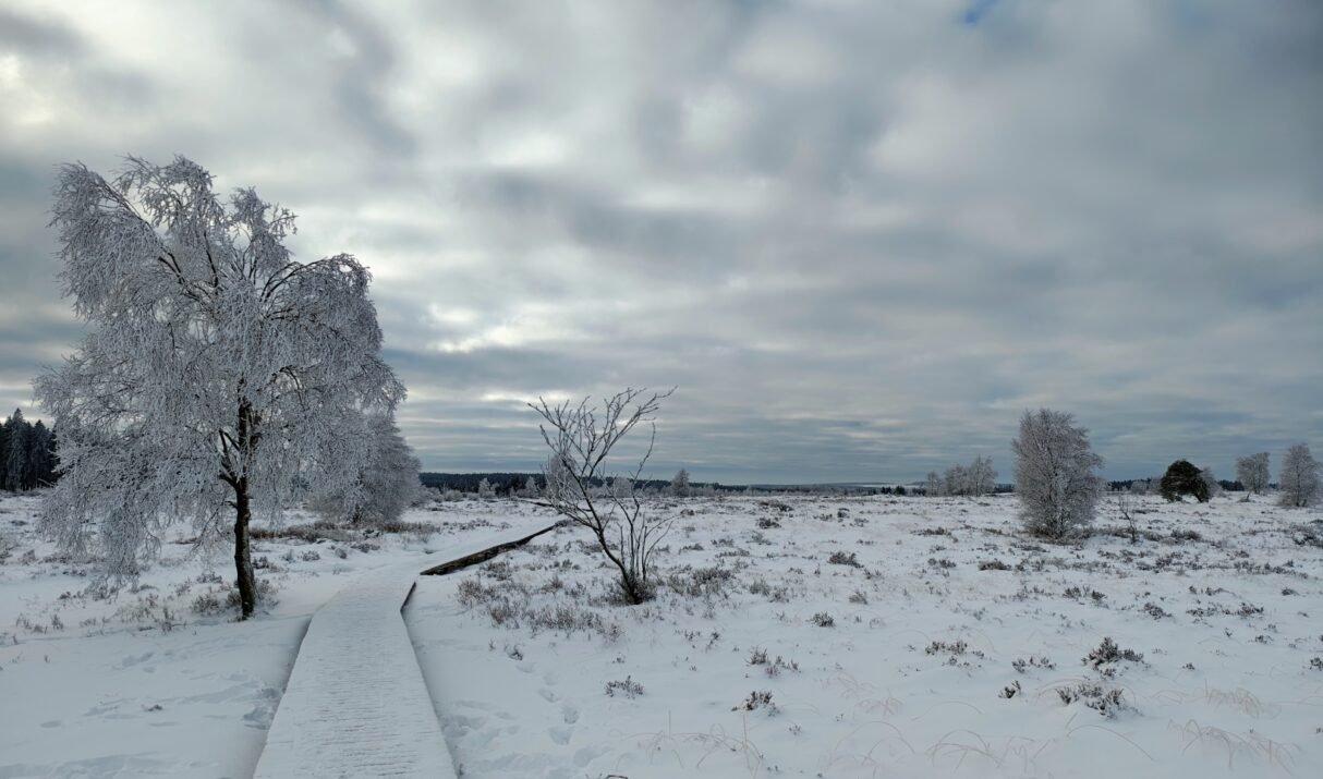 Dagtocht: Winterpracht in de Hoge Venen (18,5 km)
