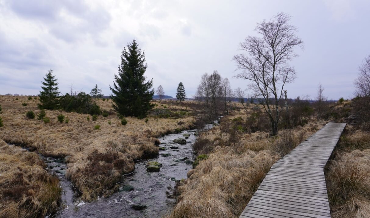 Venntrilogie • Dag 2 • Eupen Schönefeld – Longfaye