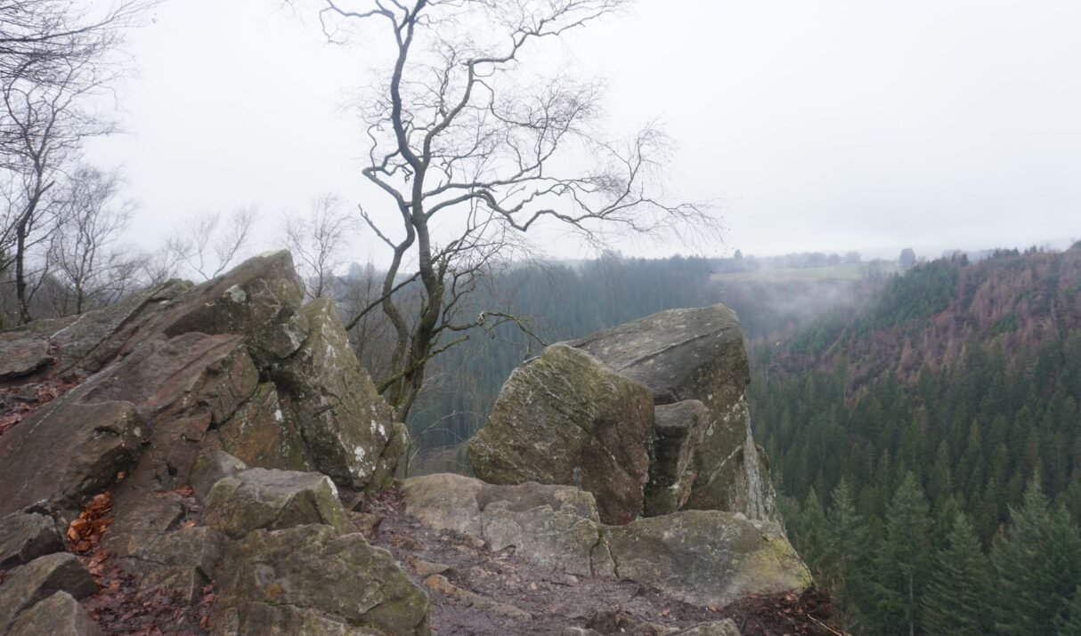 Venntrilogie • Dag 3 • Longfaye – Bütgenbach