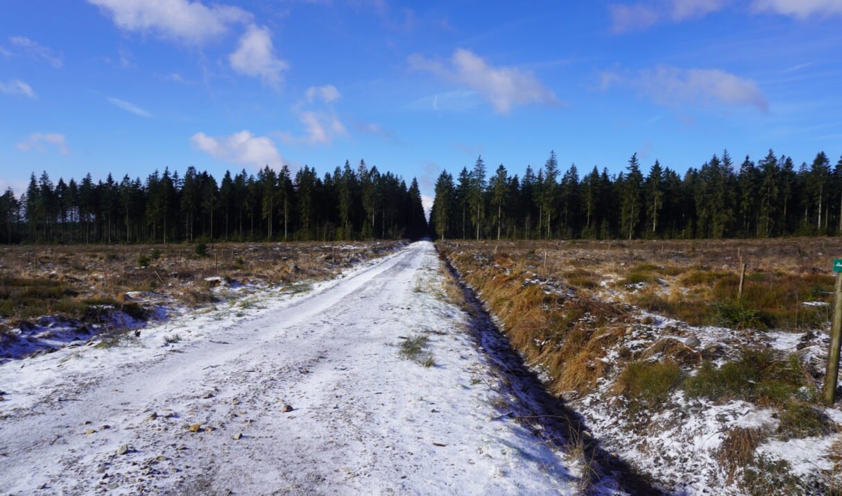 Dagtocht: de Ultimate Hiking Special van de Botrange naar Spa (32,5 km)