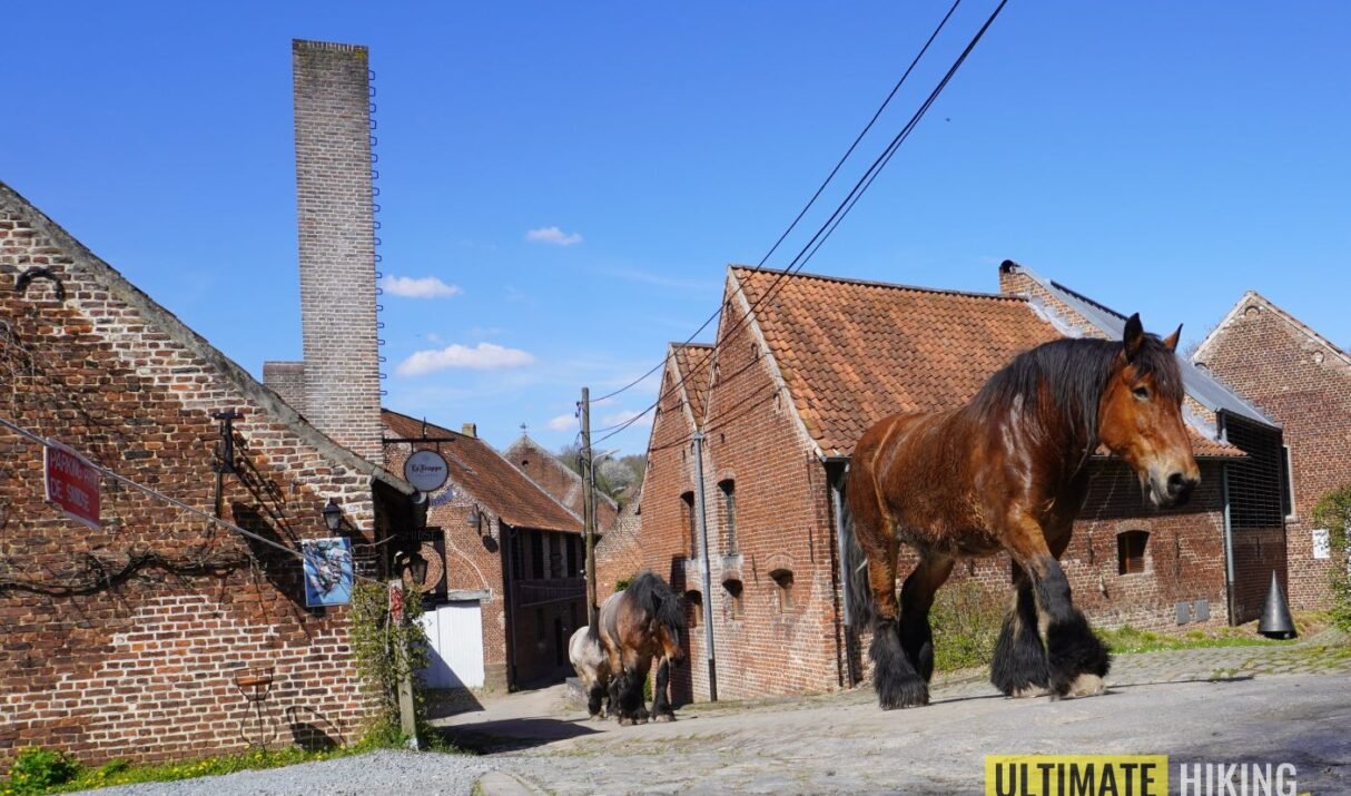 Op verkenning op de Streek-GR Groene Gordel
