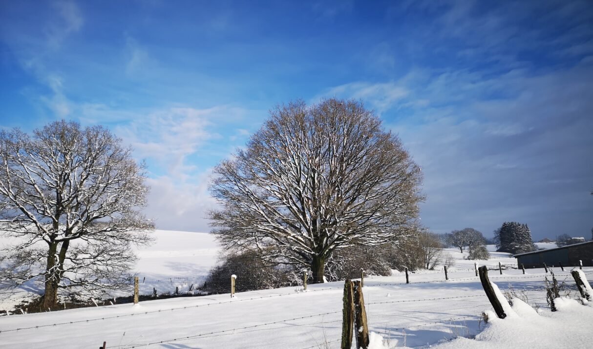Waar ligt er sneeuw in België?