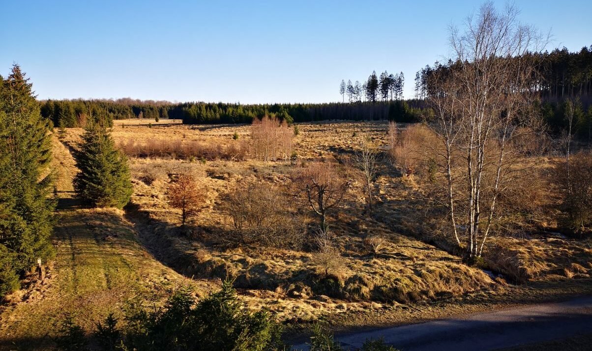 Inspiratie voor korte trektochten in België