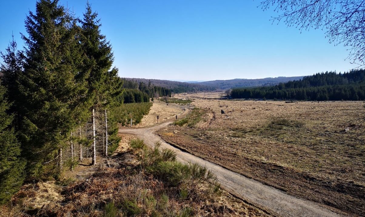 Forêt de Saint-Hubert: Tweedaagse Grupont – Golet