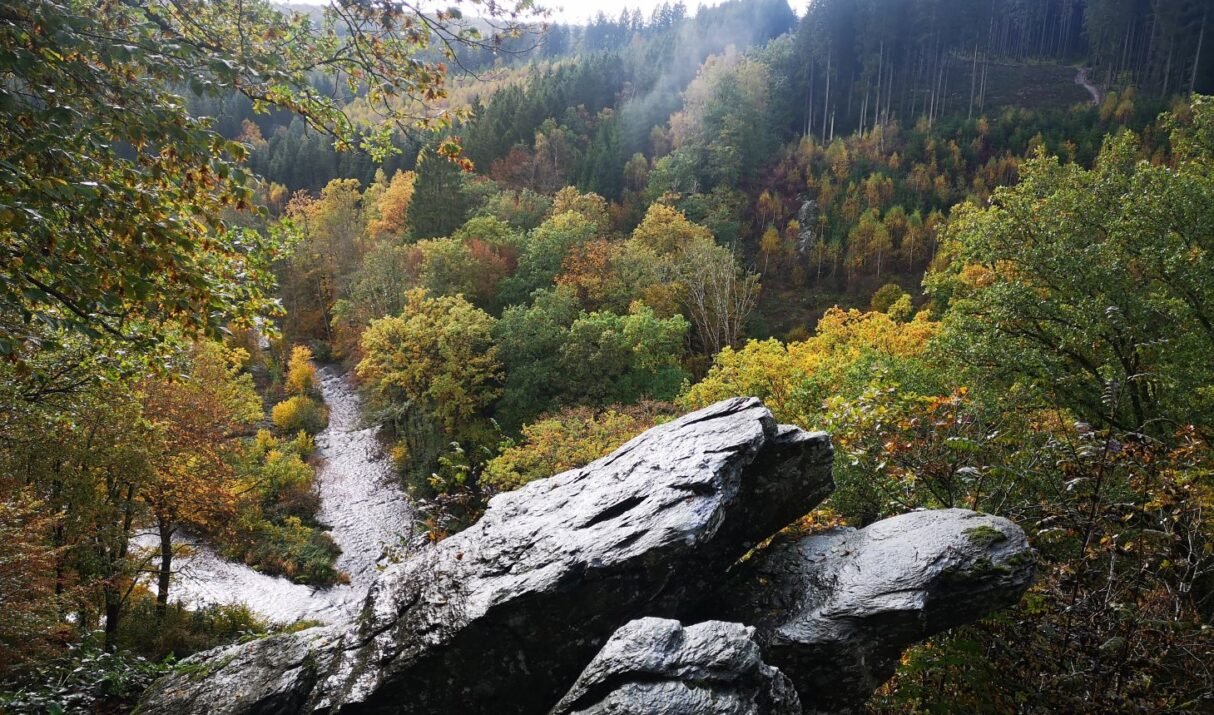 Tweedaagse trektocht door de Ardennen, van Gedinne naar Libramont