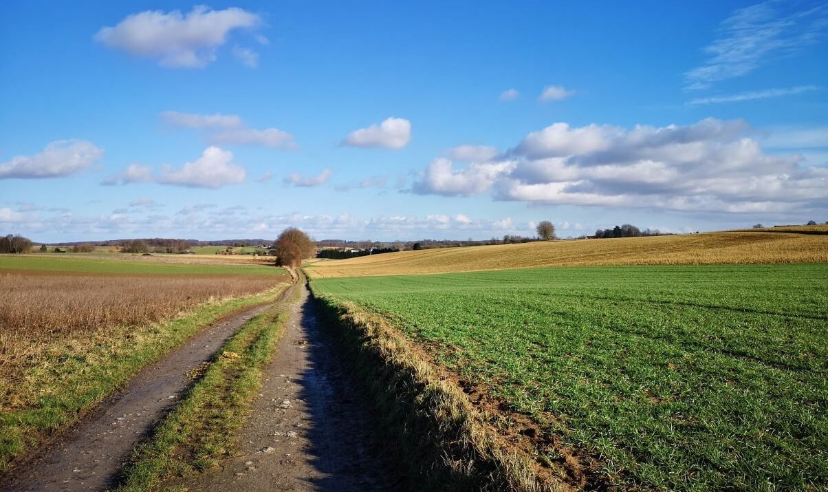 Dagtocht: Streek-GR-hoppen in het zuidelijke Dijleland (20,2 km)