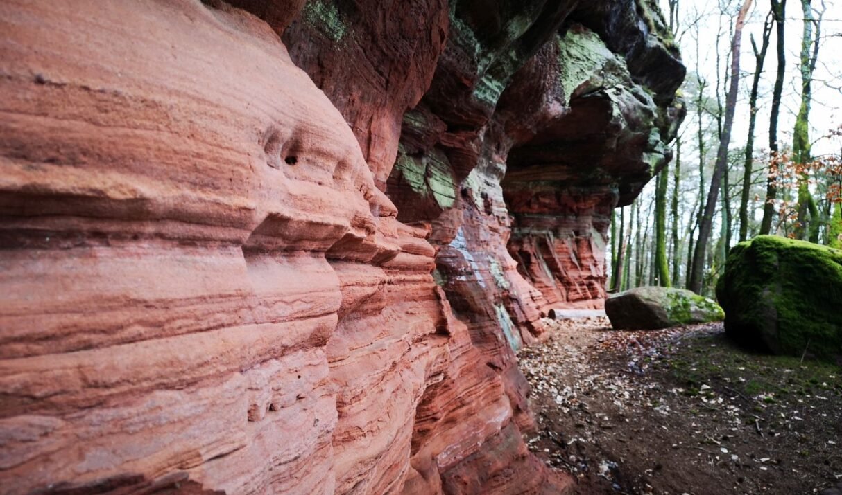 Dagtocht (Pfälzerwald): Rondje Rothenberg (6,7 km)