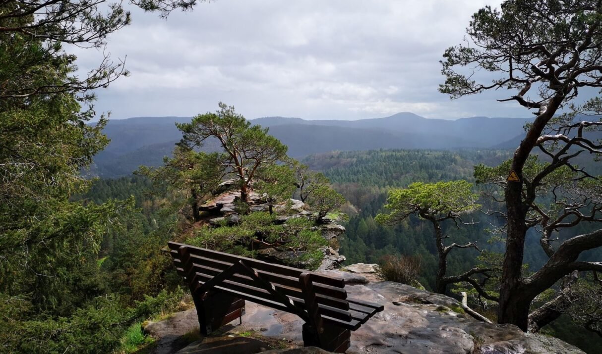 Dagtocht (Pfälzerwald): Over de Jungstberg, de Heidenberg en Drachenfels (12,7 km)