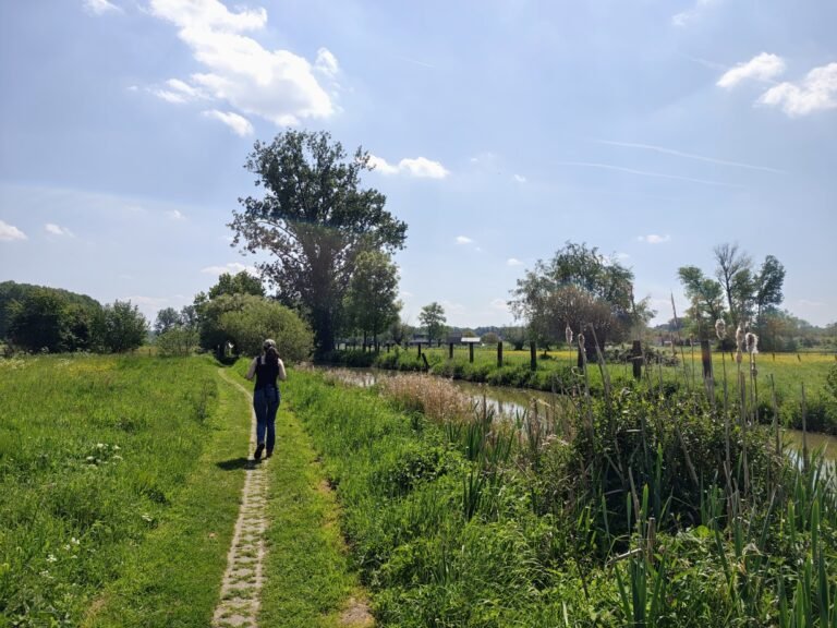 Wandelpad langs de Zwalm