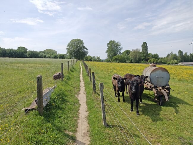 De SGR Vlaamse Ardennen in de buurt van Geraardsbergen