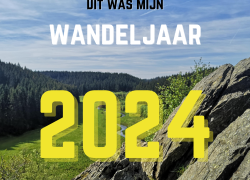 2024 (1)