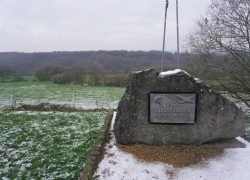 DSC02363