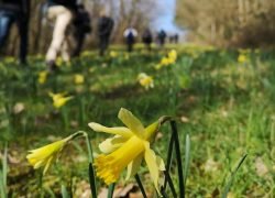 IMG_20200307_133723