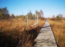 IMG_20201031_125239