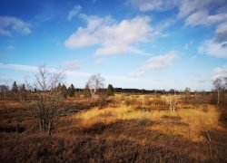 IMG_20201103_135118