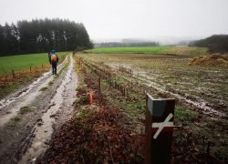 IMG_20201223_121845