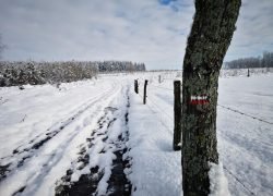 IMG_20210102_124733