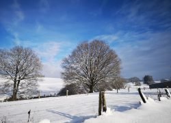 IMG_20210102_140622