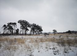 IMG_20210207_141243