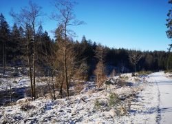 IMG_20210211_101703
