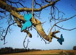 IMG_20210224_165512