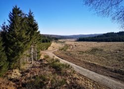 IMG_20210307_100719