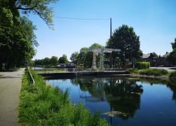 IMG_20210530_122451