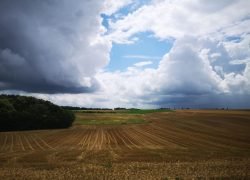 IMG_20210801_131156