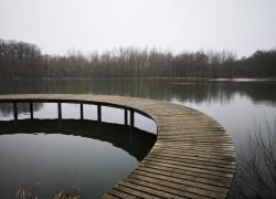 IMG_20220126_153324