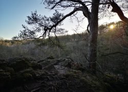 IMG_20220209_163444