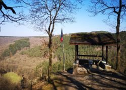 IMG_20220323_145206