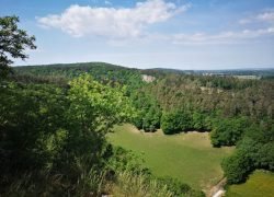 IMG_20220518_114248