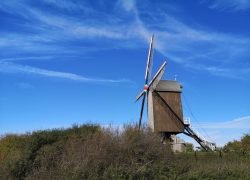 IMG_20221007_122831