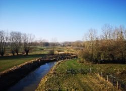 IMG_20240111_130659