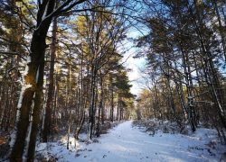 IMG_20240116_145437_2