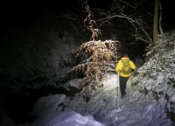 IMG_20240121_025244