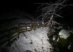 IMG_20240121_031200
