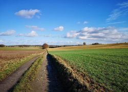 IMG_20240126_124721