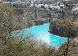 IMG_20240313_113750