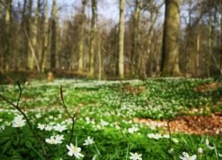 IMG_20240320_112148