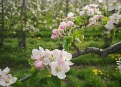 IMG_20240406_134026