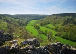 IMG_20240413_130412