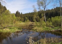 IMG_20240512_103711