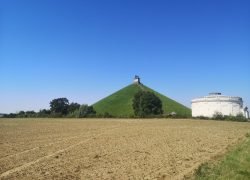 IMG_20240625_100320