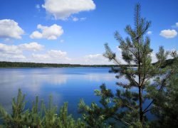 IMG_20240704_144944