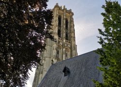 IMG_20240707_094950