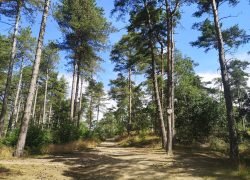 IMG_20240709_112422