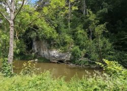 IMG_20240714_122523