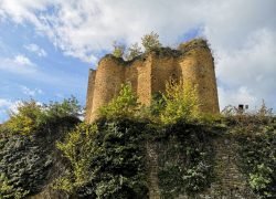 IMG_20241013_123635